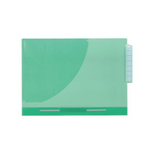 リヒトラブ カラーカルテフォルダー ファスナー付 A4 クリスタルグリーン HK732U-19