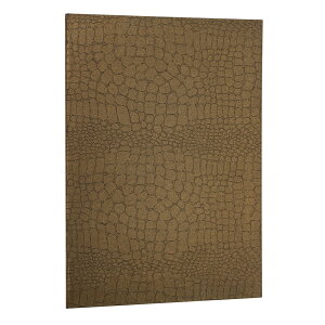 iJoV ؏ ܏t@C C^Cv A4 NX NR_C}bg S[h FSPM-A4C-GD