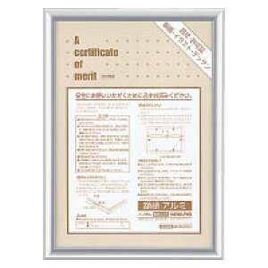 RN ܏z A~ ܏A4TCY J-218C