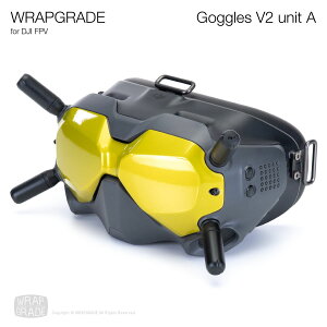 �y�����zWRAPGRADE ���b�v�O���[�h �X�L���V�[�� DJI FPV Goggles V2��p ���j�b�gA �S21�F