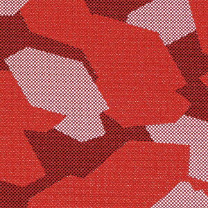 �y�����zWRAPGRADE ���b�v�O���[�h DJI Mini 4 Pro / Mini 3 Series �o�b�e���[2��