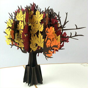 グリーティングカード ディーゼ・クラップカルテン 3Dポップアップカード 秋の紅葉 F10(1枚入り)