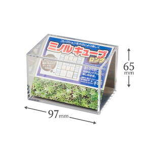 RNV fBXvC tBMA l` P[X ~mL[u O NA×NA W65×H65×D97mm 1