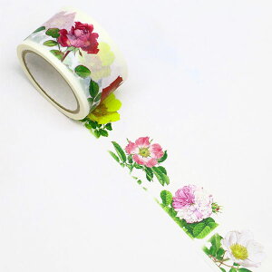 }XLOe[v SAIEN ʉ J~C\Y {^jJ o I[h[Y GR-0011 25mm×5m