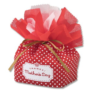母の日 不織布バッグ カーネーション ドット柄LA303 20枚入