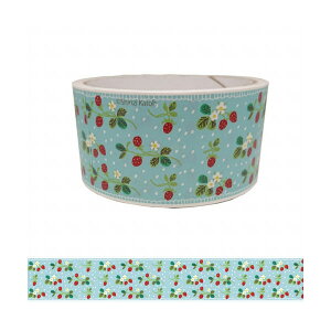 NtgfR[Ve[v V[ VWJgE Shinzi Katoh ks-cft-10002 strawberry 45mmx10m