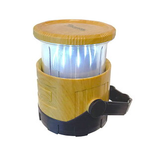 �y���ʌ�������z�C���e���A�@SPICE �X�p�C�X �o�J���X LED�t���C�������^���@�E�b�f�B�[�x�[�W���@PEVS1090BE