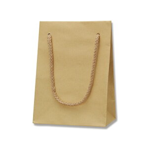 HEIKO  񂰎 KobO T-4 NtgG{X 120×}`70×165mm 10 uE Ɩp bsO VW}R[h006144215