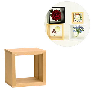 {bNX^t[ 3XChBOX t[g10p 106-036 i`