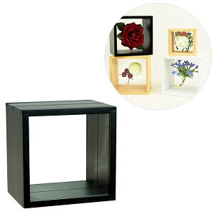 {bNX^t[ 3XChBOX t[g15p 106-038 ubN