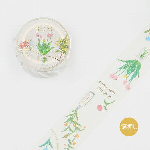 }XLOe[v BGM r[W[G Life Ct  ԕr BM-LGCD010 20mm×5m