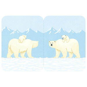 t KING JIM LOW t^}^tZ CXg^Cv VN} 3580-007 30