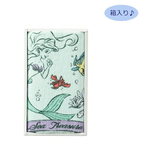 tFCX^I  AMtg 34×75cm gE}[Ch VCCNUV[@DS-4505