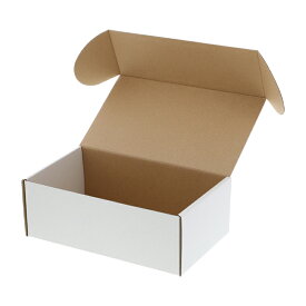 箱 10枚入 組立HEIKOシモジマフリーボックスF-3 ギフトボックス ラッピング箱 収納 梱包資材 段ボール小型 ダンボール フリマ ハンドメイド