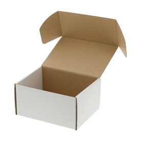 箱 10枚入 組立HEIKOシモジマフリーボックスF-75 ギフトボックス ラッピング箱 収納 梱包資材 段ボール小型 ダンボール フリマ ハンドメイド