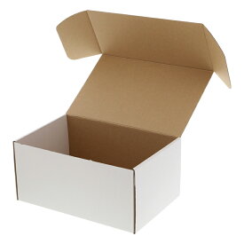 箱 10枚入 組立HEIKOシモジマフリーボックスF-77 ギフトボックス ラッピング箱 収納 梱包資材 段ボール小型 ダンボール フリマ ハンドメイド