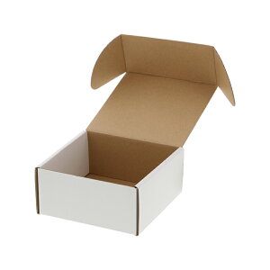  10 gHEIKOVW}t[{bNXF-85 Mtg{bNX bsO [  i{[^ _{[ t} nhCh