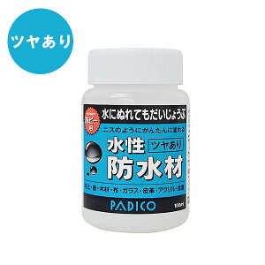 pWR jX̂悤ɂ񂽂ɓh zr[p h c 100cc