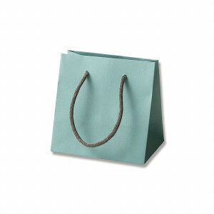 HEIKO  񂰎 J[nhobO MW ANAO[ 160×}`110×160mm 5 Ɩp bsO VW}R[h005390505