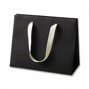 HEIKO  񂰎 J[nhobO LW ubN 260×}`120×210mm 5 Ɩp bsO VW}R[h005390600