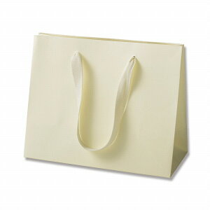 HEIKO  񂰎 J[nhobO LW N[ 260×}`120×210mm 5 Ɩp bsO VW}R[h005390601