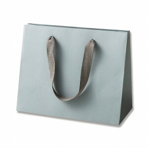 HEIKO  񂰎 J[nhobO LW O[ 260×}`120×210mm 5 Ɩp bsO VW}R[h005390603