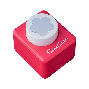 J[Ntg CARL Ntgp` ~hTCY CP-2 E ~