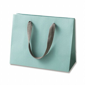 HEIKO  񂰎 J[nhobO LW ANAO[ 260×}`120×210mm 5 Ɩp bsO VW}R[h005390605