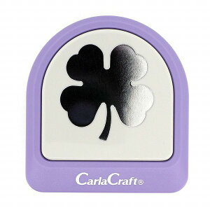 J[Ntg CARL Ntgp` KW{ CN45 N[o[