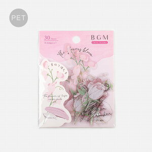 �t���[�N�V�[�� �r�[�W�[�G�� BGM �N���A�V�[�� �t�����[�Y�u���b�T���E�s���N BS-PF012 30����