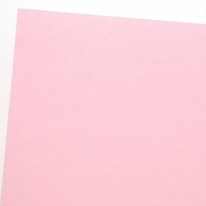 HEIKO PC�J���[���t�� ���� A16 �s���N 50��