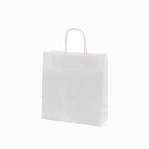 SWAN  񂰎 25`[obO 26-10 NnCH 260×}`100×280mm 50 zCg Ɩp bsO VW}R[h003272220