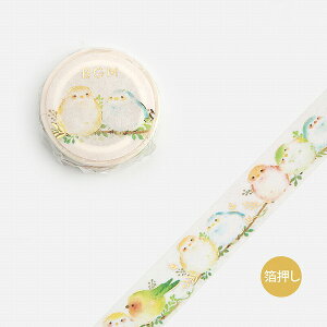 }XLOe[v BGM r[W[G Life Ct  V}GiK BM-LGCA082 15mmx5m