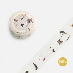 }XLOe[v BGM r[W[G Life Ct  L BM-LGCD043 20mmx5m