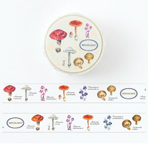 }XLOe[v O[tbV GreenFlash STUDY HOLIC (ۗފw) ST-191 15mm×5m