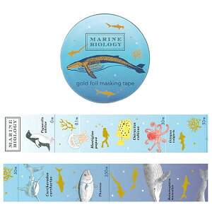 }XLOe[v O[tbV GreenFlash STUDY HOLIC  (Cmw) ST-200 20mm×5m