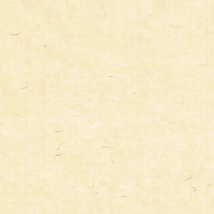 ɏՍ HEIKO VW} J[t S AC{[ 200