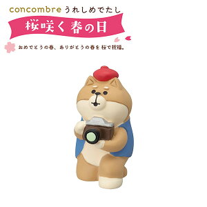 yyVX[p[Z[zfBXvC fR DECOLE RRu concombre ꂵ߂ł炭t̓ ZCB-62450 ŃJ}