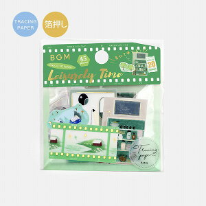 t[NV[ r[W[G BGM g[VOy[p[V[  ̂т莞ԁE BS-TFN001 45