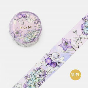 }XLOe[v BGM r[W[G Special XyV  ]E BM-SPYH001 20mm×5m