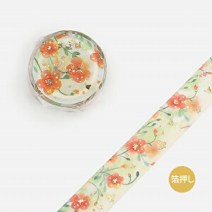 }XLOe[v BGM r[W[G  ČEmE[JY BM-SPLN030 15mm×5m