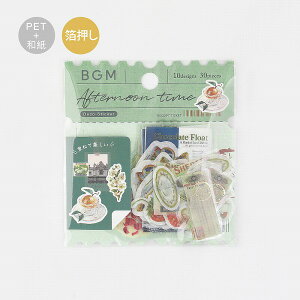 t[NV[ r[W[G BGM ~bNXV[ Be[WEO[  BS-MXV002 30