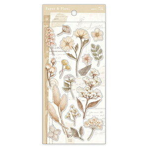 V[gV[ }ChEFCu MIND WAVE y[p[AhvgXebJ[ x[W 81683 t[  A