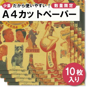 yʌz A4TCY Jbgy[p[ LX~[ HEIKO VW} Zbg ԃp^[ y[p[Ntg bsO