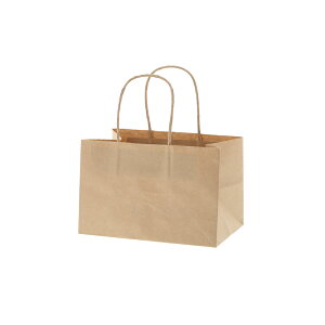 ���� ��񂰎��� �I�u�����O�o�b�O 20-13 HEIKO �V���W�} �u���E�� ���N���n 20��