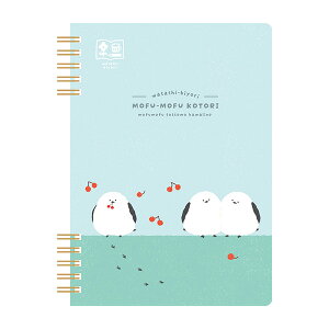 m[g Ð쎆H 킽т B6Om[g ӂӏ XH18