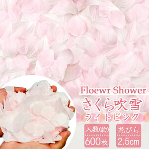 t[V[ t[y^  A[gt[ Ԃт  o EFfBO CgsN  FLE-7017 y5܂܂ŃlR|XΉz   `F[ubT