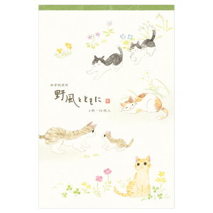 ^[ 莆 Gkr[  ˂ 앗ƂƂ 16 5570408