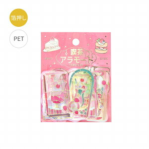 t[NV[ r[W[G BGM  NAV[ iA[hEXeh bh BS-PFG010 30