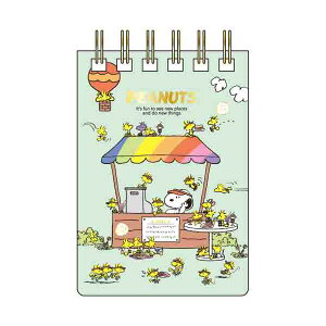 pbh  TX^[ PEANUT WOODSTOCK & SNOOPY 2e WOA7 JtFX^h S2848490 Xk[s[ s[ibc
